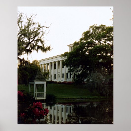 een plant op de Mississippi Poster (Voorkant)