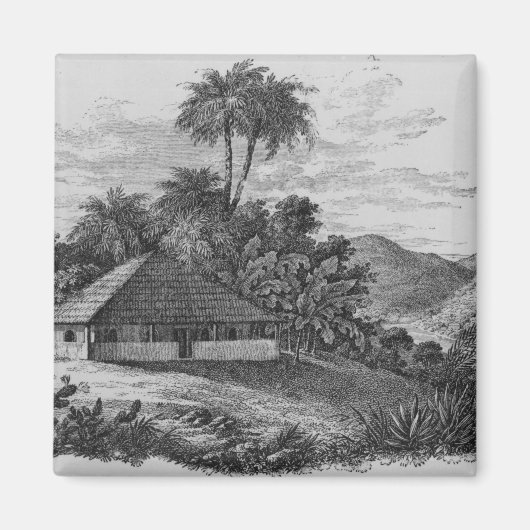Een planterhuis in Brazilië Magneet (Voorkant)
