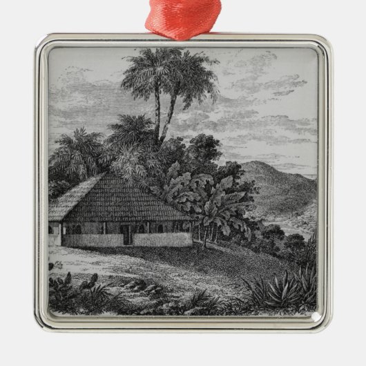 Een planterhuis in Brazilië Metalen Ornament (Voorkant)