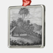 Een planterhuis in Brazilië Metalen Ornament (Links)