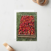 Een plat aardbeien notitiekaartje (Voorkant / Achterkant in situ)