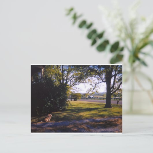 Een plek van pastorale schoonheid in Brentwood, Te Briefkaart (Staand voorkant)