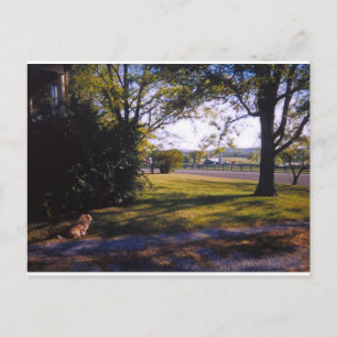 Een plek van pastorale schoonheid in Brentwood, Te Briefkaart