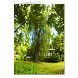 Een plek voorbij - Mystery bijna in de nacht