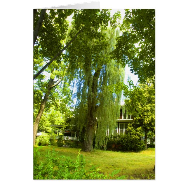 Een plek voorbij - Mystery bijna in de nacht (Voorkant)