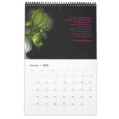 Een plotselinge verandering in de tuin kalender (Jan 2026)