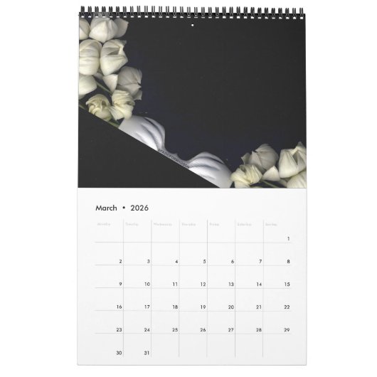 Een plotselinge verandering in de tuin kalender (Mar 2026)