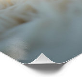 Een pluizige Samojeed pup die rustig slaapt Perfect Poster (Hoek)