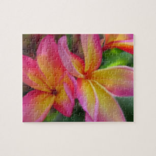 Een Plumeria Puzzle Legpuzzel