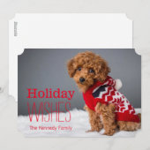 Een poedel van het 10 week oude speelgoed feestdagenkaart (Voorkant / Achterkant)