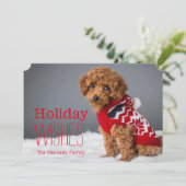 Een poedel van het 10 week oude speelgoed feestdagenkaart (Staand voorkant)