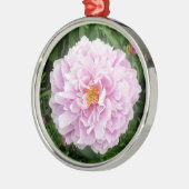 Een pony met regendruppels metalen ornament (Links)