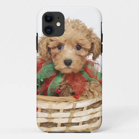 Een poogachtige pupil in de kerstmand Case-Mate iPhone case (Achterkant)