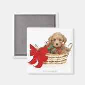 Een poogachtige pupil in de kerstmand magneet (Voorkant / Achterkant)