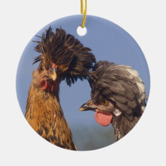 Een Poolse Kip-kerst Keramisch Ornament (Voorkant)