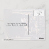 Een pop. Door Gerrit Dou Briefkaart (Achterkant)