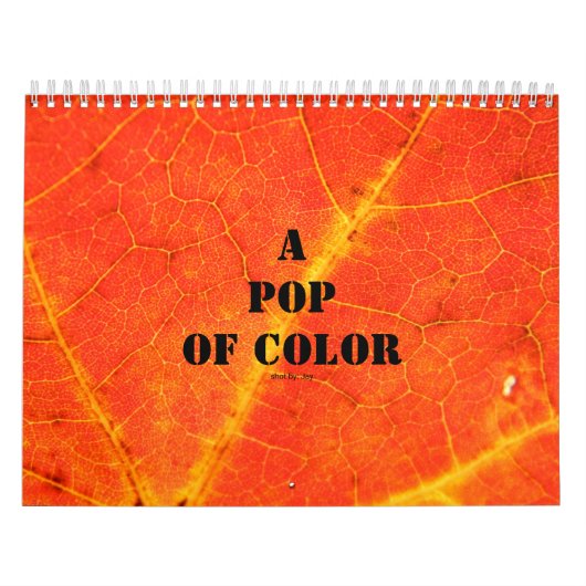 Een Pop van Kleurenkalender Kalender (Hoes)