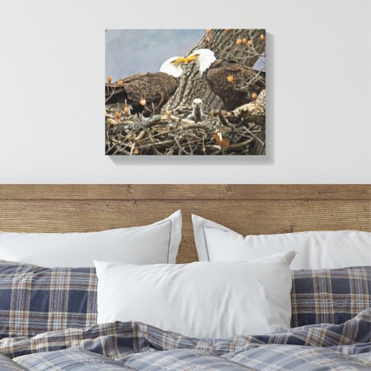 Een portret van de familie Bald Eagle Canvas Afdruk (Insitu (Slaapkamer))