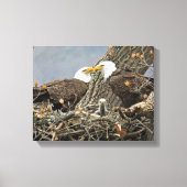 Een portret van de familie Bald Eagle Canvas Afdruk (Voorkant)