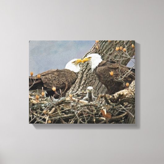 Een portret van de familie Bald Eagle Canvas Afdruk (Voorkant)