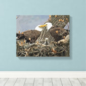 Een portret van de familie Bald Eagle Canvas Afdruk (Insitu (Houten vloer))