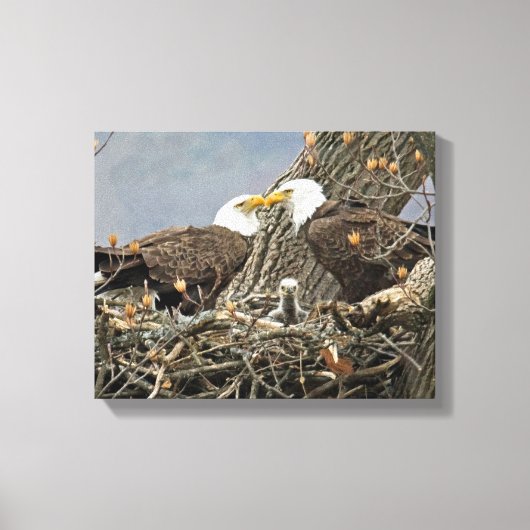 Een portret van de familie Bald Eagle Canvas Afdruk (Voorkant)