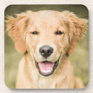 Een portret van een Golden Retriever puppy Bier Onderzetter