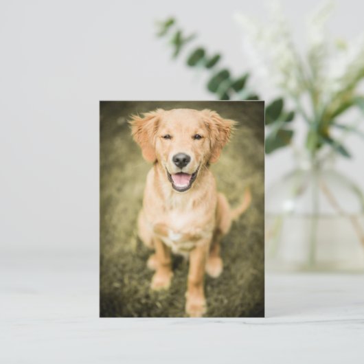 Een portret van een Golden Retriever puppy Briefkaart (Staand voorkant)