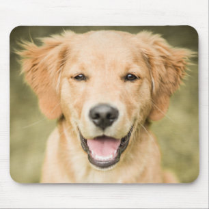 Een portret van een Golden Retriever puppy Muismat