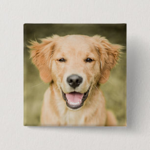 Een portret van een Golden Retriever puppy Vierkante Button 5,1 Cm