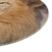 Een portret van een leeuw die kijkt naar de afstan snijplank (Hoek)