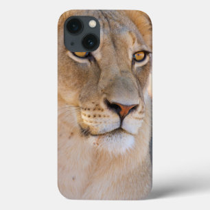 Een portret van een leeuwin die de afstand bekijkt Case-Mate iPhone case