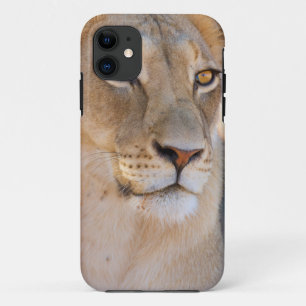 Een portret van een leeuwin die in de verte kijkt Case-Mate iPhone case