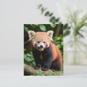 Een portret van een Schattigee rode panda Briefkaart (Staand voorkant)