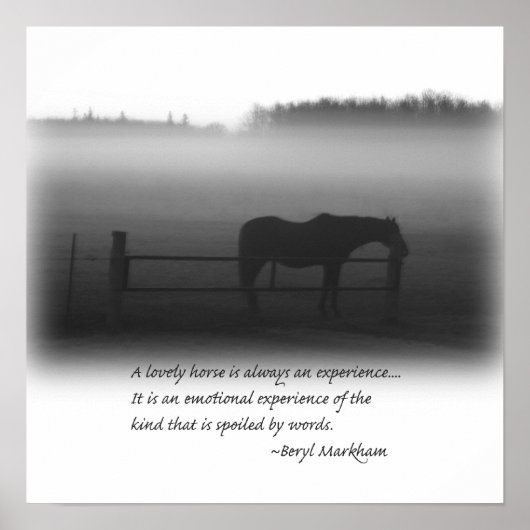 Een Poster met een grote paarden (Voorkant)