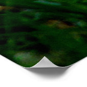 Een poster/poedel van een reddingshond aannemen poster (Hoek)