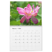 Een pot Beauty Calendar Kalender (Feb 2026)
