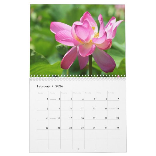 Een pot Beauty Calendar Kalender (Feb 2026)