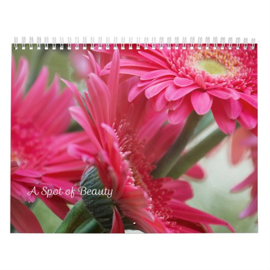 Een pot Beauty Calendar Kalender (Hoes)
