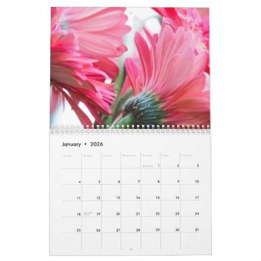Een pot Beauty Calendar Kalender (Jan 2026)