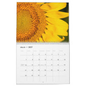 Een pot Beauty Calendar Kalender (Mar 2027)