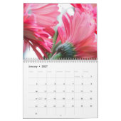 Een pot Beauty Calendar Kalender (Jan 2027)