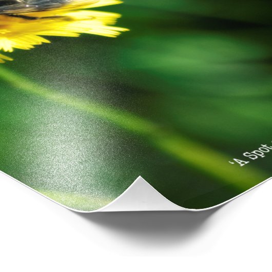 Een pot geel foto afdruk (Hoek)