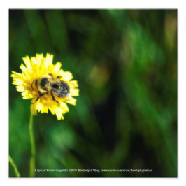 Een pot geel foto afdruk