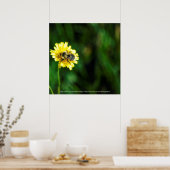 Een pot geel poster (Keuken)