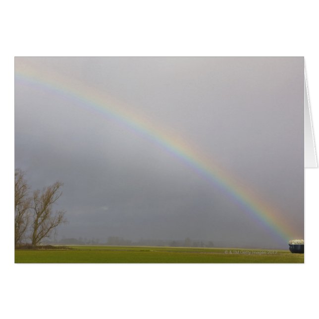 Een pot goudputten aan het uiteinde van de regenbo (Voorkant Horizontaal)