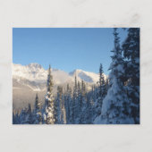 Een prachtig afbeelding in Whistler Canada Briefkaart (Voorkant)