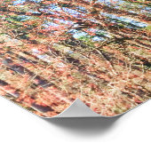 Een prachtig boslandschap in de lente poster (Hoek)