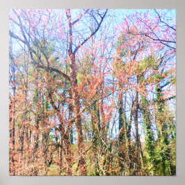 Een prachtig boslandschap in de lente poster