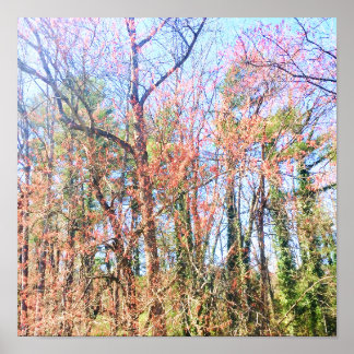 Een prachtig boslandschap in de lente poster